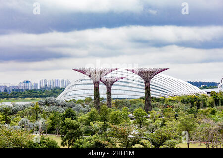 Garden By The Bay August 2014 singapore - august 5, 2014: supertree grove at gardensthe bay Garden By The Bay August 2014 singapore - august 5, 2014: supertree grove at gardensthe bay