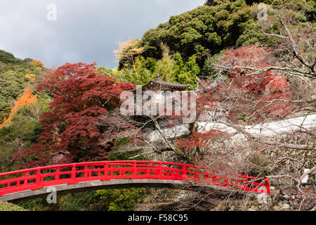 japanese garden at toowoomba in a bright summer day japan mino vermillion bridge and temple with trees behind in autumn colours - Japanese Garden Cherry Blossom Bridge japanese garden at toowoomba in a bright summer day japan mino vermillion bridge and temple with trees behind in autumn colours - Japanese Garden Cherry Blossom Bridge