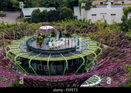 Garden By The Bay August 2014 singapore - august 5, 2014: supertree grove at gardensthe bay Garden By The Bay August 2014 singapore - august 5, 2014: supertree grove at gardensthe bay