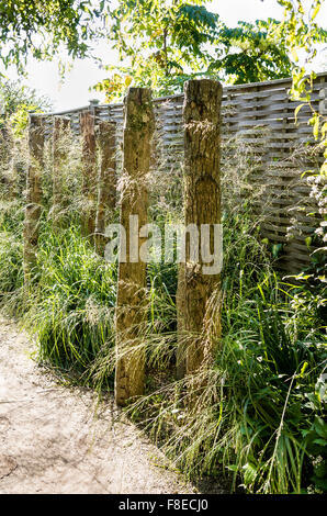 low maintenance garden border Stock Photo: 19005822 - Alamy