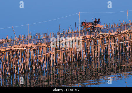 horse-cart-crosses-the-bamboo-bridge-on-
