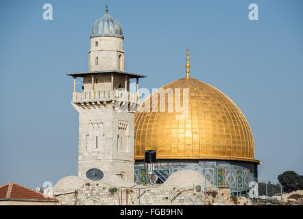 rock city muslim Salim is a young muslim man from oman who moved to new york city a week prior somewhere in america. rock city muslim Salim is a young muslim man from oman who moved to new york city a week prior somewhere in america.
