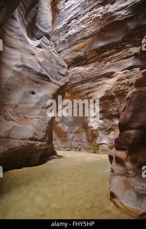 Slot canyon jordan