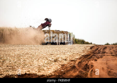 Mechanized Harvesting Of Cane Sugar In The Countryside Stock Photo Alamy