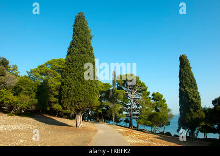 Kroatien, Istrien, Insel Veli Brijuni Im Nationalpark Brijuni-Inseln ...