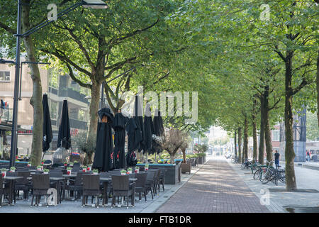 rotterdam innenstadt rotterdam innenstadt
