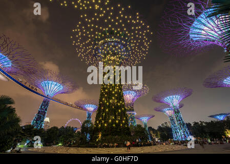 the supertree grove during the evening garden rhapsody sound and light show at the gardens by - Garden By The Bay Fireworks the supertree grove during the evening garden rhapsody sound and light show at the gardens by - Garden By The Bay Fireworks