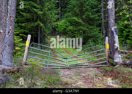 Metal Farm Gate Metal Farm Gate