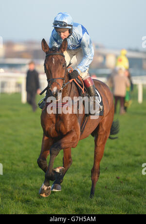 Fingal Bay Ridden By Richard Johnson Leads At The Last Hurdle From