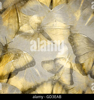 Abstract Seamless Wallpaper Pattern Butterflies A Vector Stock Photo