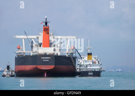 tug boat singapore tug boat singapore asia stock photo 29687100 alamy tug boat singapore tug boat singapore asia stock photo 29687100 alamy