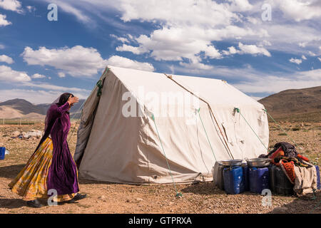 the basseri tribe of iran This book seeks to describe and analyze the social and economic organization of the basseri of fars province (iran) in terms of a general ecological perspective the focus is on the processes through which the basseri organize nomadic herding and relate to one another as members of different households, herding units, camps, lineages (oulads), and tribal sections (tira. the basseri tribe of iran This book seeks to describe and analyze the social and economic organization of the basseri of fars province (iran) in terms of a general ecological perspective the focus is on the processes through which the basseri organize nomadic herding and relate to one another as members of different households, herding units, camps, lineages (oulads), and tribal sections (tira.