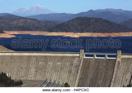 How do you find information on the lake level at Shasta Dam?