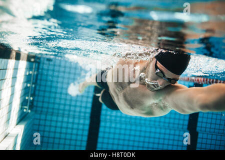 fit swimmer training in the swimming pool professional male swimmer inside swimming pool - Inside Swimming Pool fit swimmer training in the swimming pool professional male swimmer inside swimming pool - Inside Swimming Pool