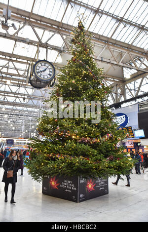 waterloo station with christmas tree and commuters se1 waterloo station with christmas tree and commuters se1