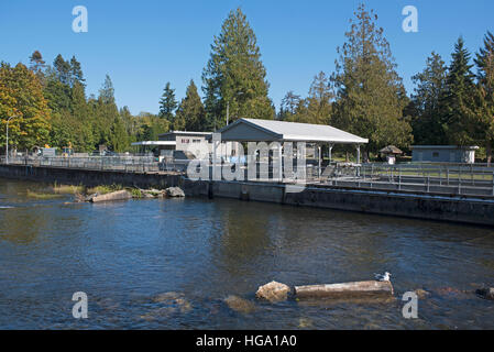 The Big Qualicum River Fish Hatchery on Vancouver Island BC, Canada