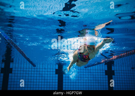 Olympic Swimming Pool Underwater underwater shot of female swimmer in action inside swimming pool Olympic Swimming Pool Underwater underwater shot of female swimmer in action inside swimming pool