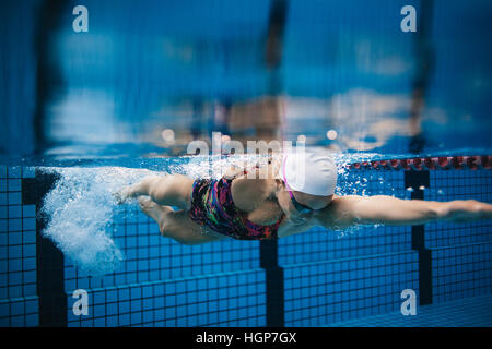 Olympic Swimming Pool Underwater underwater shot of female swimmer in action inside swimming pool Olympic Swimming Pool Underwater underwater shot of female swimmer in action inside swimming pool