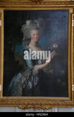 Marie Antoinette, wife of King Louis XVI of France, was the 15th Stock Photo, Royalty Free Image ...