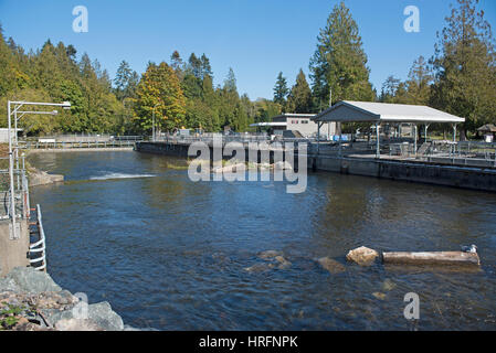 The Big Qualicum River Fish Hatchery on Vancouver Island BC, Canada