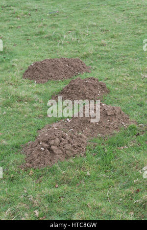 make a mountain out of a molehill The common phrase making a mountain out of a molehill, meaning to exaggerate a minor problem, is an ironical reference to these small features evidence of burrows edit. make a mountain out of a molehill The common phrase making a mountain out of a molehill, meaning to exaggerate a minor problem, is an ironical reference to these small features evidence of burrows edit.