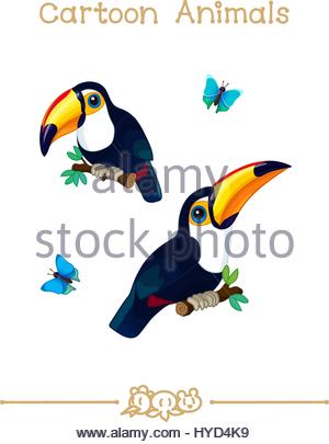 Cute toucan bird on transparent background illustration Stock Vector