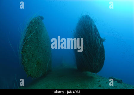 http://l450v.alamy.com/450v/j4n49m/ship-wreck-hijms-nagato-detail-oar-bottom-up-j4n49m.jpg