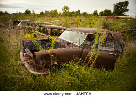 Old rusted cars Stock Photo: 14350373 - Alamy