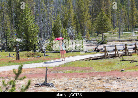 http://l450v.alamy.com/450v/jgct86/a-young-asian-woman-carrying-a-red-umbrella-against-the-sun-in-walking-jgct86.jpg
