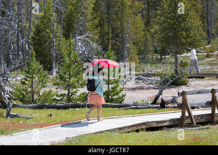 http://l450v.alamy.com/450v/jgct87/a-young-asian-woman-carrying-a-red-umbrella-against-the-sun-in-walking-jgct87.jpg