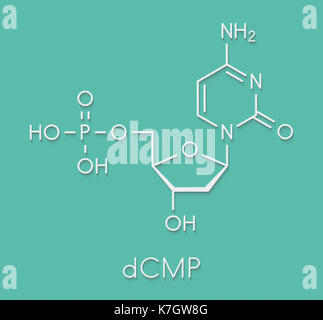 Deoxycytidine Monophosphate DCMP Nucleotide Molecule DNA Building