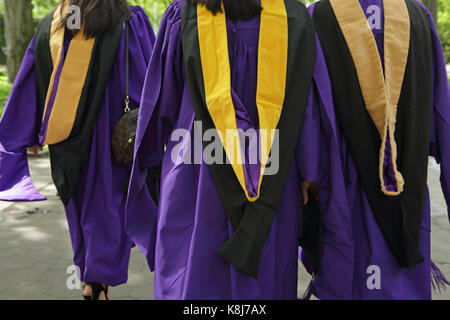 york university gown