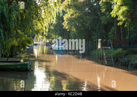 parana river delta argentina tigre aires buenos province south america end alamy