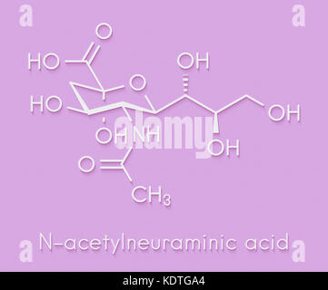 Sialic Acid N Acetylneuraminic Acid Neu5Ac NANA Molecule Atoms Are