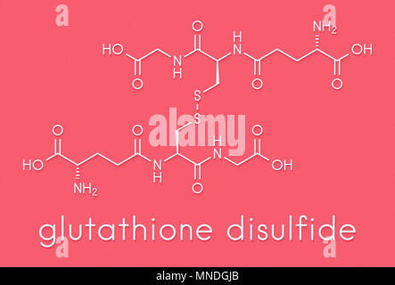 Glutathione Oxidized Glutathione GSSG Molecule Stylized Skeletal