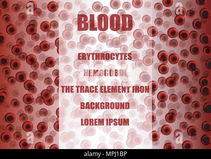 Microscopic Haematology Red Blood Cells Erythrocytes White Blood