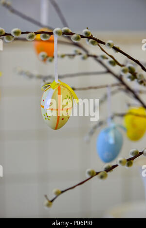 Easter Egg Hanging From Pussy Willow Branch Stock Photo Alamy