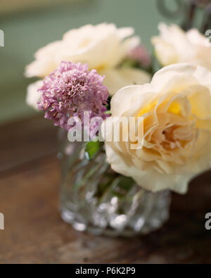 Mauve Roses In Vase Stock Photo Alamy