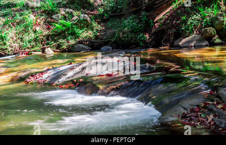 Waterfalls In Tzaneen Limpopo Stock Photo Alamy