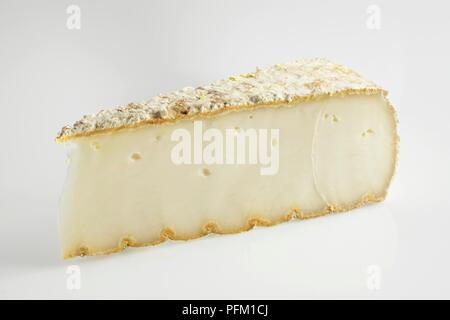 Slice Of French Fouchtra Goat Or Cow S Milk Cheese Close Up Stock