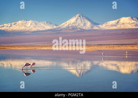 Mountain Reflecting In The Lake With Flamingos Bolivia Stock Photo Alamy