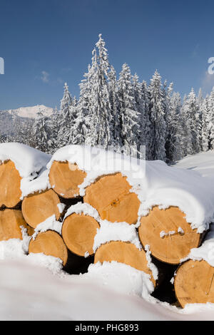 Switzerland Winter Snow Covered Logs Trees Forest Wood Woods Timber