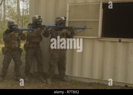 Marines Of The 2nd Light Armored Infantry Battalion 4th Marine