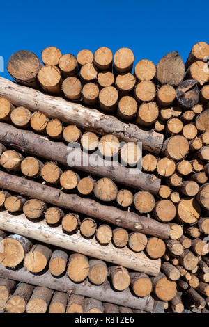 Trunks Blue Sky Wood Storage Wooden Economy Forest Camp Warehouse