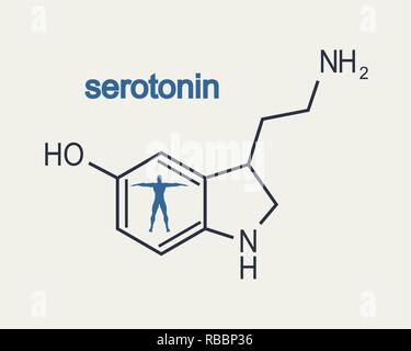 Serotonin Hormone Molecular Formula Human Body Hormones Symbol Stock