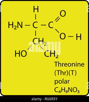 Threonine Amino Acid Molecule Ball And Stick Structure Stock Vector