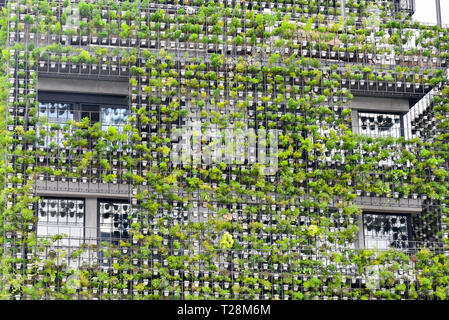 Ecological Buildings Facade With Green Plants And Flowers On The Stone