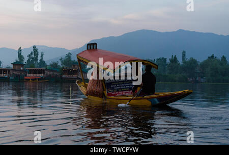 Flowers In A Boat For Selling Dal Lake Srinagar Jammu And Kashmir