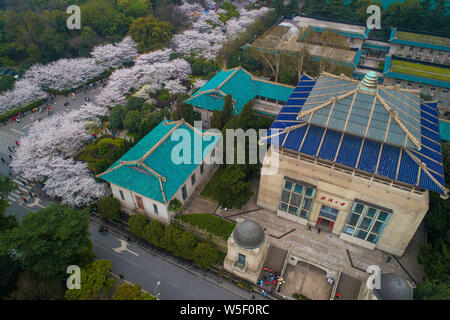 Visitors View Cherry Blossoms At Wuhan University In Wuhan City