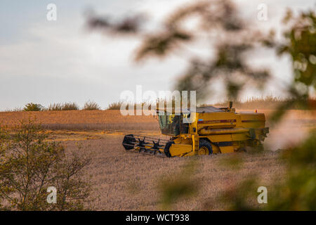 New Holland Combine Harvester During St International Agricultural